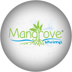 brand_mangrove