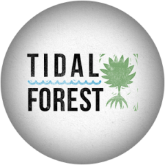 brand_tidalforest